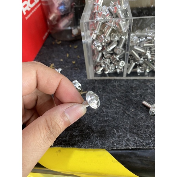 Ốc Salaya inox đầu bông ngôi sao Đĩa và Dàn áo