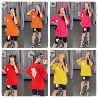 Bộ lửng hoa cúc siêu êu