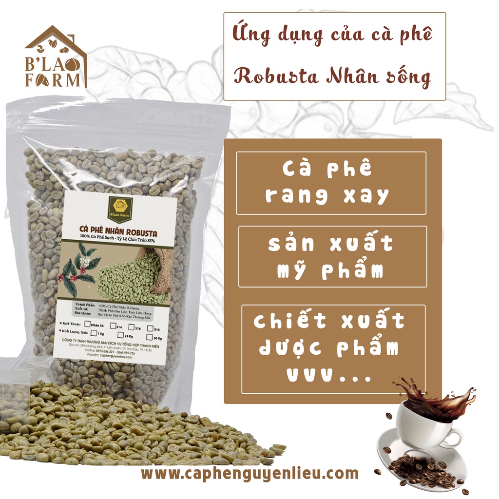 [Cà Phê Nhân Xanh Arabica wash]  𝐆𝐈𝐀́ 𝐒𝐢̉  Cafe Sạch - Chín Cây 99%  - Chế Biến Ướt - Coffee Nhân Sống Arabica Cầu Đất