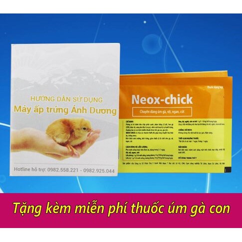 Máy Ấp Trứng Gà Mini Ánh Dương P100 - Bản Tự Lắp Ráp - Đảo Tay