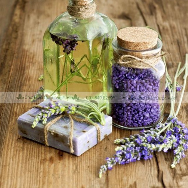 Bột Hoa Oải Hương 100g (Lavender/Huân Thảo)