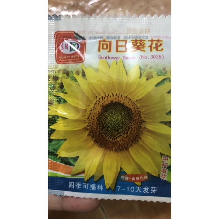 Hạt giống hoa hướng dương mini nhập khẩu đài loan nguyên bao bì