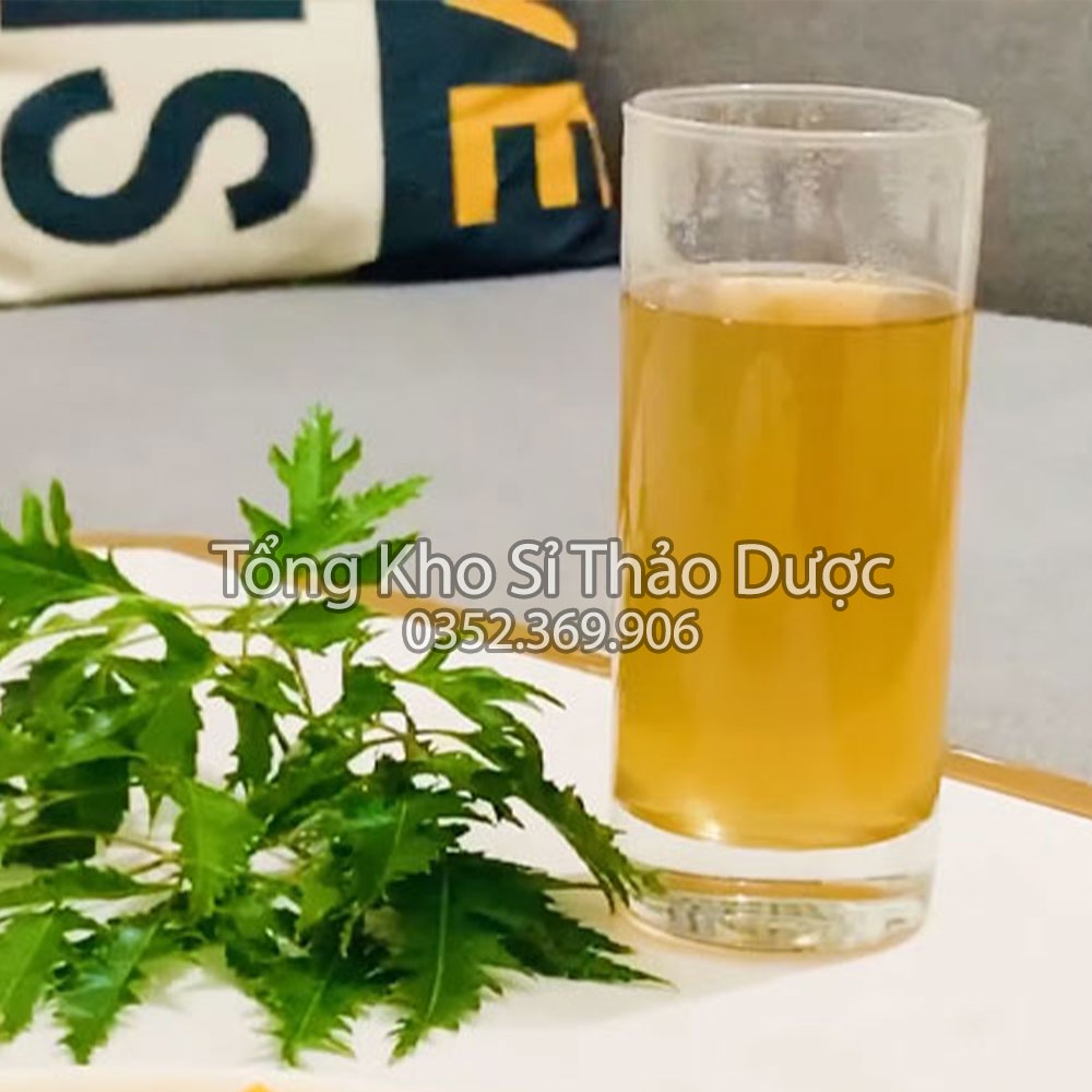 Lá đinh lăng khô 500g (Trà đinh lăng thanh lọc cơ thể, hỗ trợ mất ngủ)