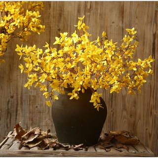 Cành Mai Mỹ-hoa lụa trang trí cao 90cm