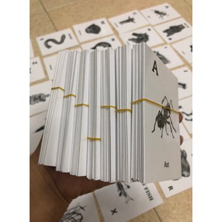 Thẻ Animal 4D - Thế giới động vật trên ảnh 4D cho bé