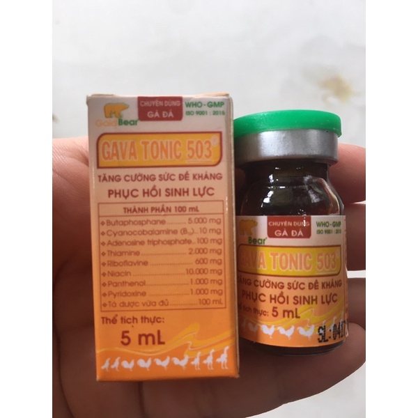GAVA TONIC 503 5ml PHỤC HỒI SINH LỰC.