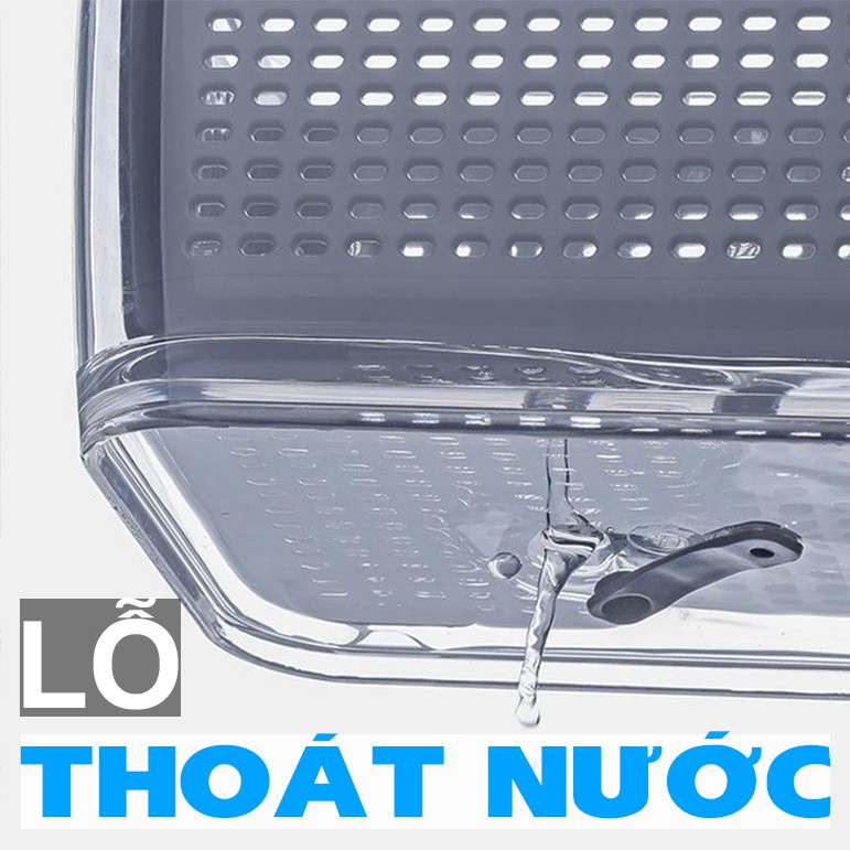 Hộp Đựng Thực Phẩm Tủ Lạnh 2 Lớp SHIMOYAMA Có Lỗ Thoát Nước, Có Khóa Thoát Khí, Dễ Dàng Bảo Quản Rau Củ | BigBuy360 - bigbuy360.vn