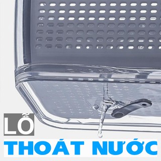 Hộp Đựng Thực Phẩm Tủ Lạnh 2 Lớp SHIMOYAMA Có Lỗ Thoát Nước, Có Khóa Thoát Khí, Dễ Dàng Bảo Quản Rau Củ (tuyển sỉ)