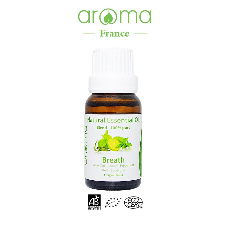 Tinh Dầu Xông Aroma Bạc Hà Khuynh Diệp 10ml