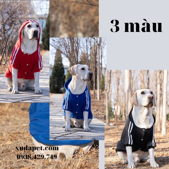 Áo Hoodie Cho Chó Lớn Dog Baby chất liệu thun co giãn cao cấp - Xudapet - SP000611