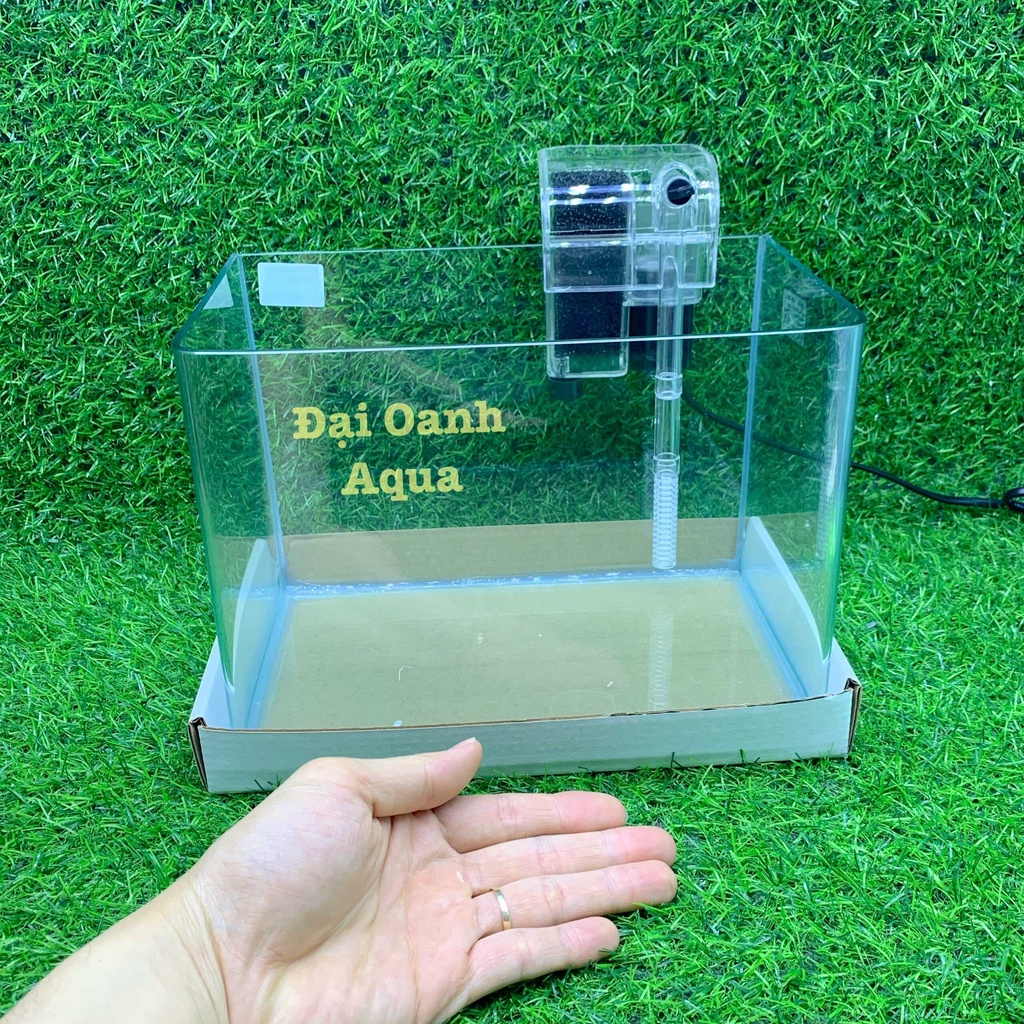 Bộ Bể Cá Kính Đúc Mini 25cm Kèm Đèn Lọc Để Bàn, Dài 25cm Rộng 16cm Cao 18cm - Bể Cá Mini