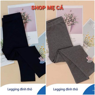 CHIPPO Quần legging bé gái cotton len size 1y-5y siêu xinh cho bé gái