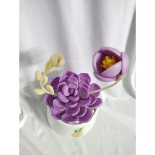 Chậu sen đá đất sét đường kính 10cm