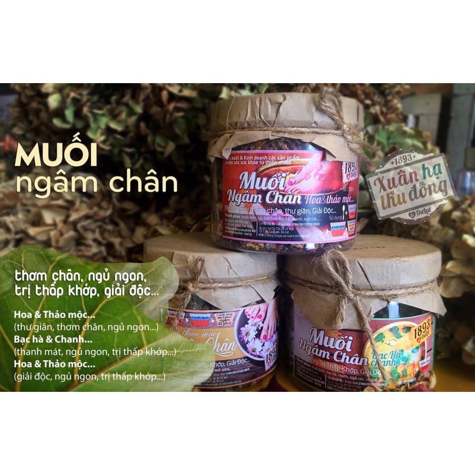 Muối ngâm chân thảo mộc Xuân Hạ Thu Đông - Đà Lạt 1893 | BigBuy360 - bigbuy360.vn