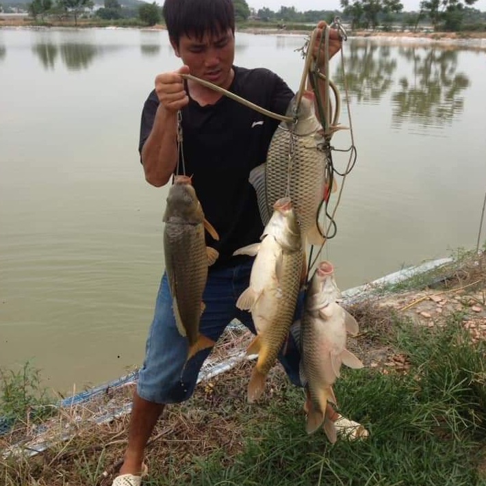 Mồi Câu Cá Chép,Nước Cốt Thảo Dược NS Siêu Nhạy.