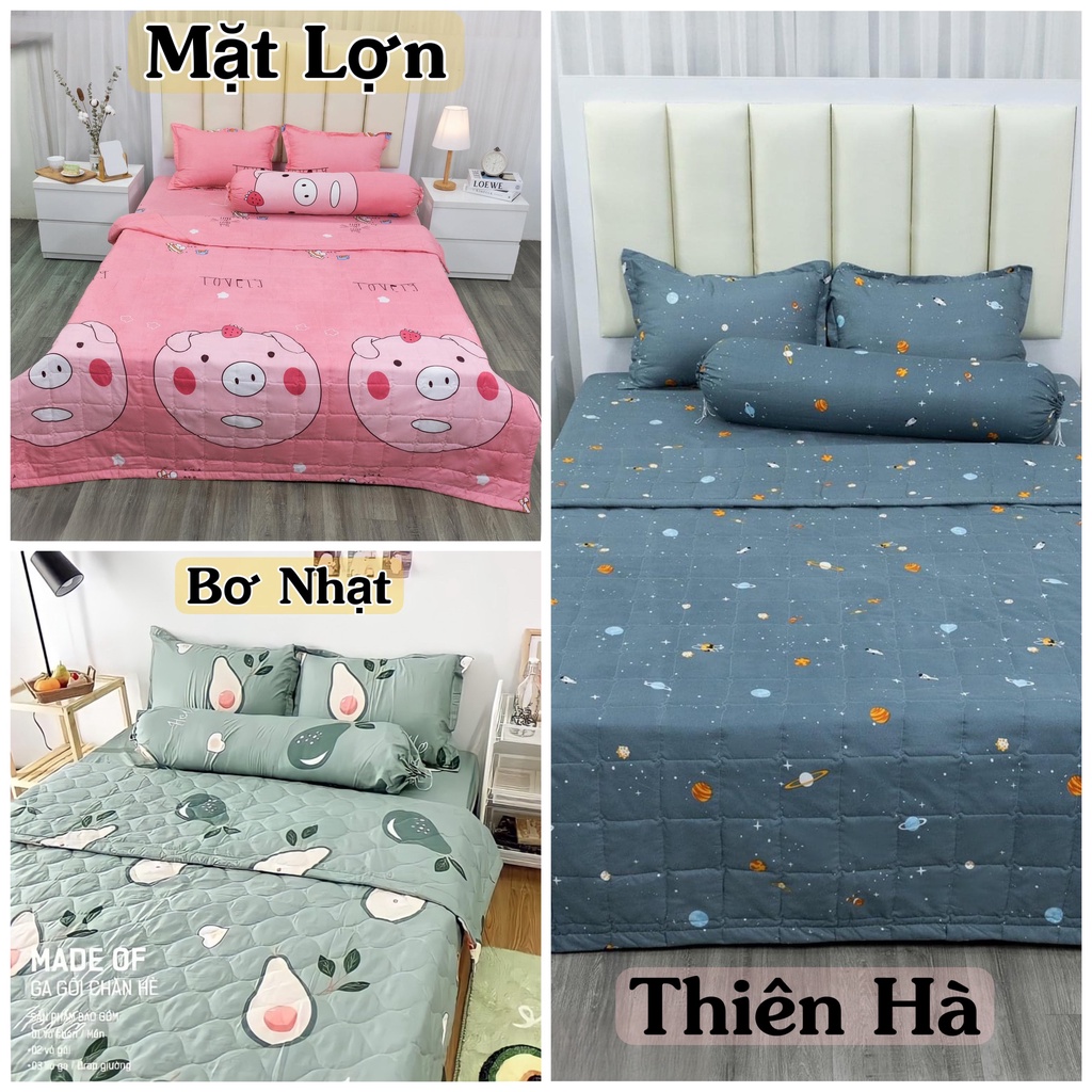 Bộ 5 món chăn ga và vỏ gối hè thu gọn nhẹ , Mền Ga Gối Poly chần bông 3 lớp được chọn mẫu