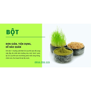 250gr BỘT SẤY LẠNH CỎ LÚA MÌ HỮU CƠ KHẢI MINH (tiện dụng cho người không có điều kiện trồng hạt giống cỏ lúa mì hữu cơ)