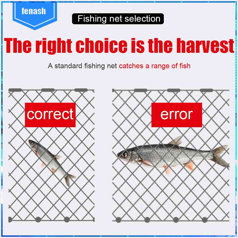 ☞Lưới Đánh Bắt Cá Một Sợi Tiện Dụng Cho Hoạt Động Ngoài Trời