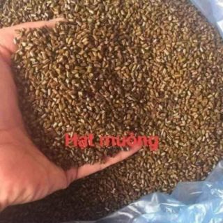 2kg  hạt muồng . HSD 5 năm