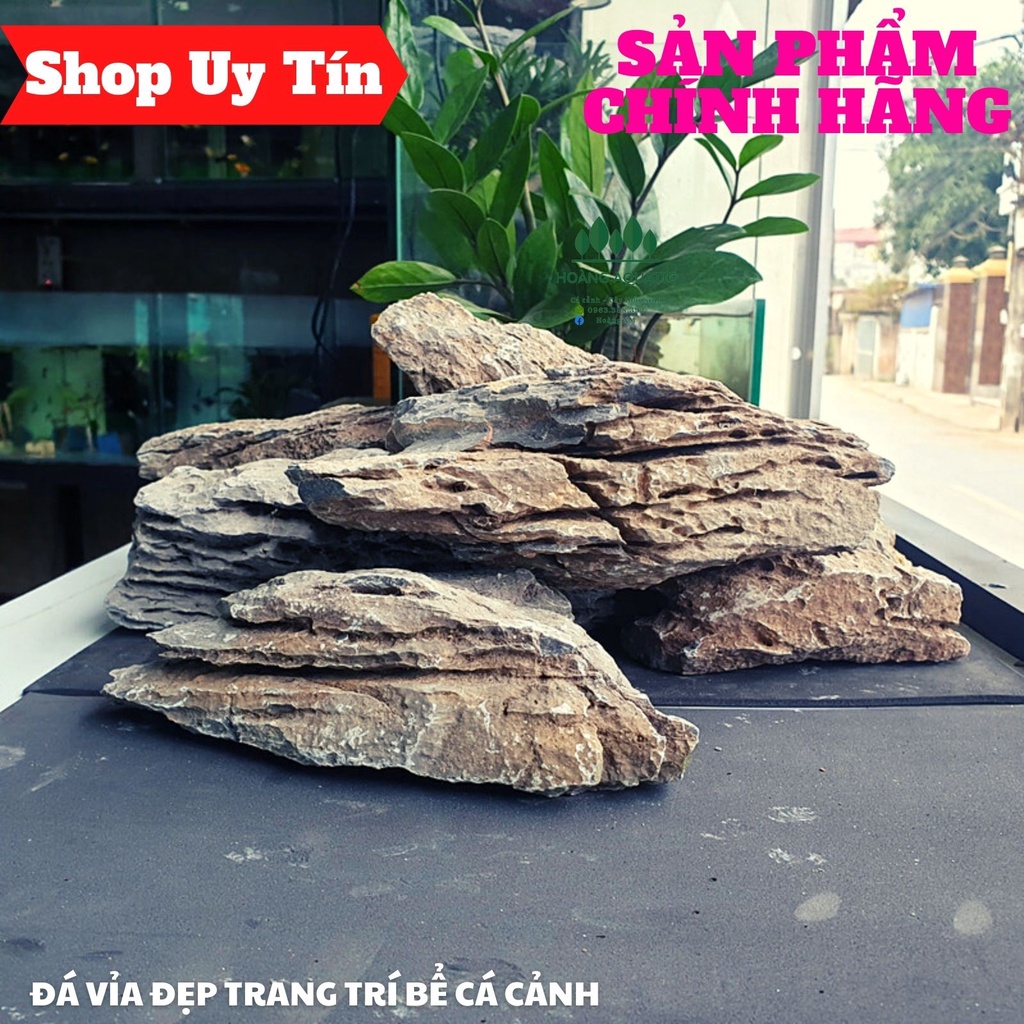 Đá Vỉa Loại Đẹp | Trang trí Bể Cá Thủy Sinh, Phong Cách Biotope, Iwagumi