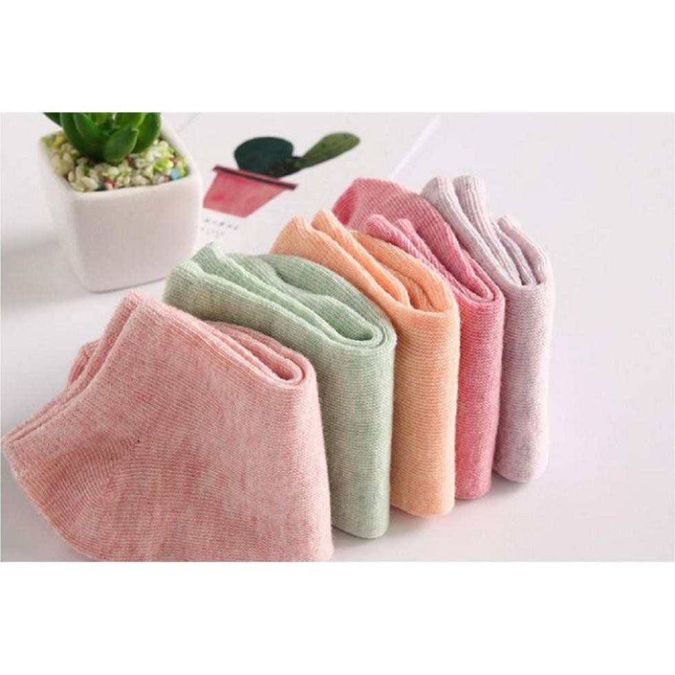 Tất vớ nữ cotton trơn ngắn cổ hàn quốc PK2