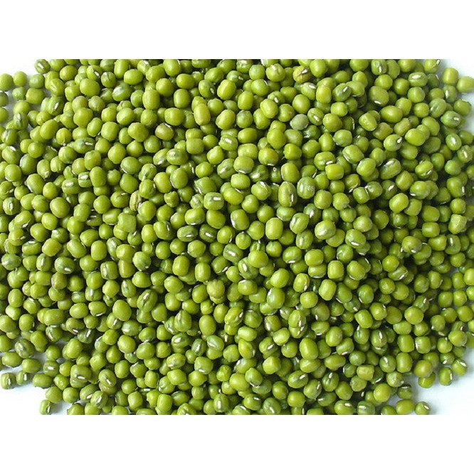 Đậu Xanh Làm Giá Đỗ Sạch 1kg. Tỉ lệ nảy mầm cao 98%