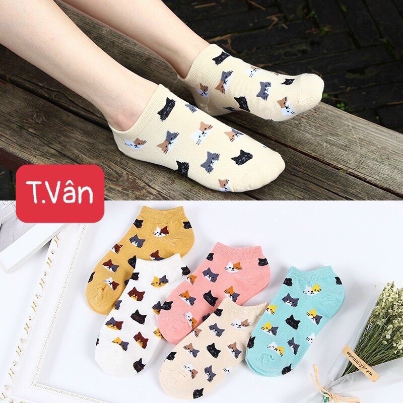 Sét 5 tất mèo có túi zip chất đẹp dễ thương