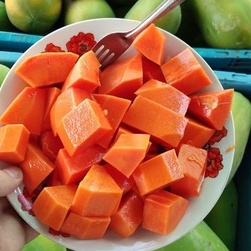 HẠT GIỐNG ĐU ĐỦ SIÊU LÙN HÀ LAN F1 _ Hạt giống Thái nảy 99%