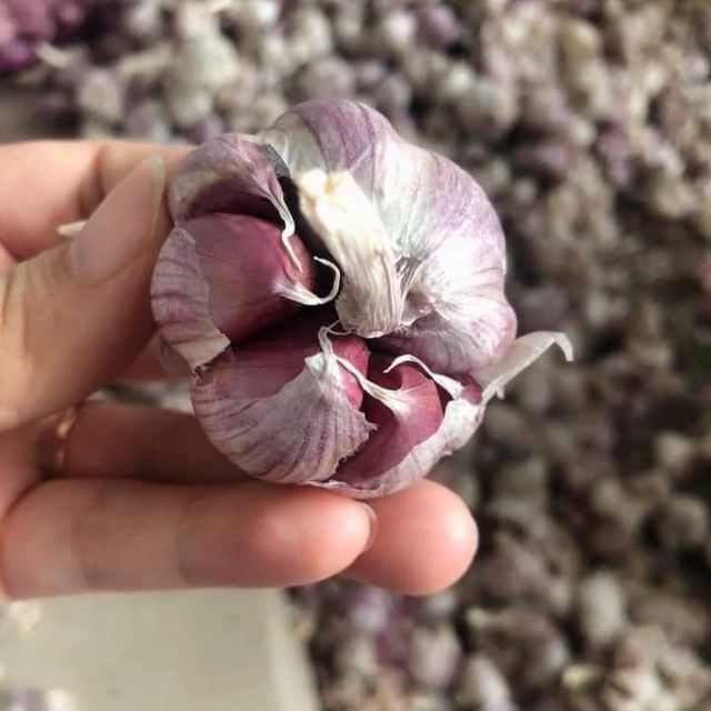 1kg tỏi tím