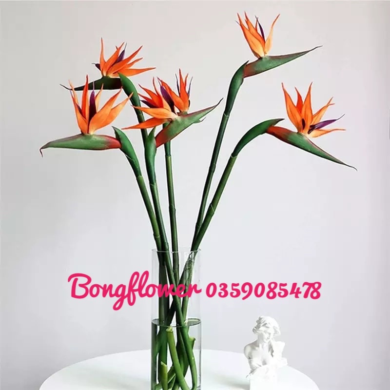 🥰 Cành hoa thiên điểu giả dài 80cm decor siêu xinh