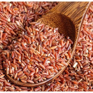 Gạo lứt huyết rồng vụ mới 2019