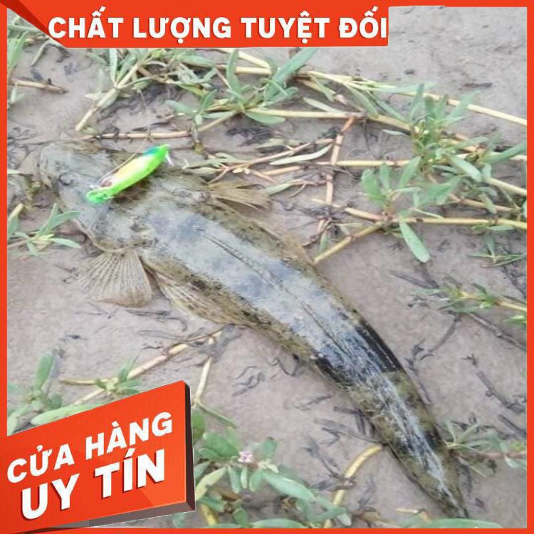 Mồi câu Sasuke chuyên lure chẽm, vược