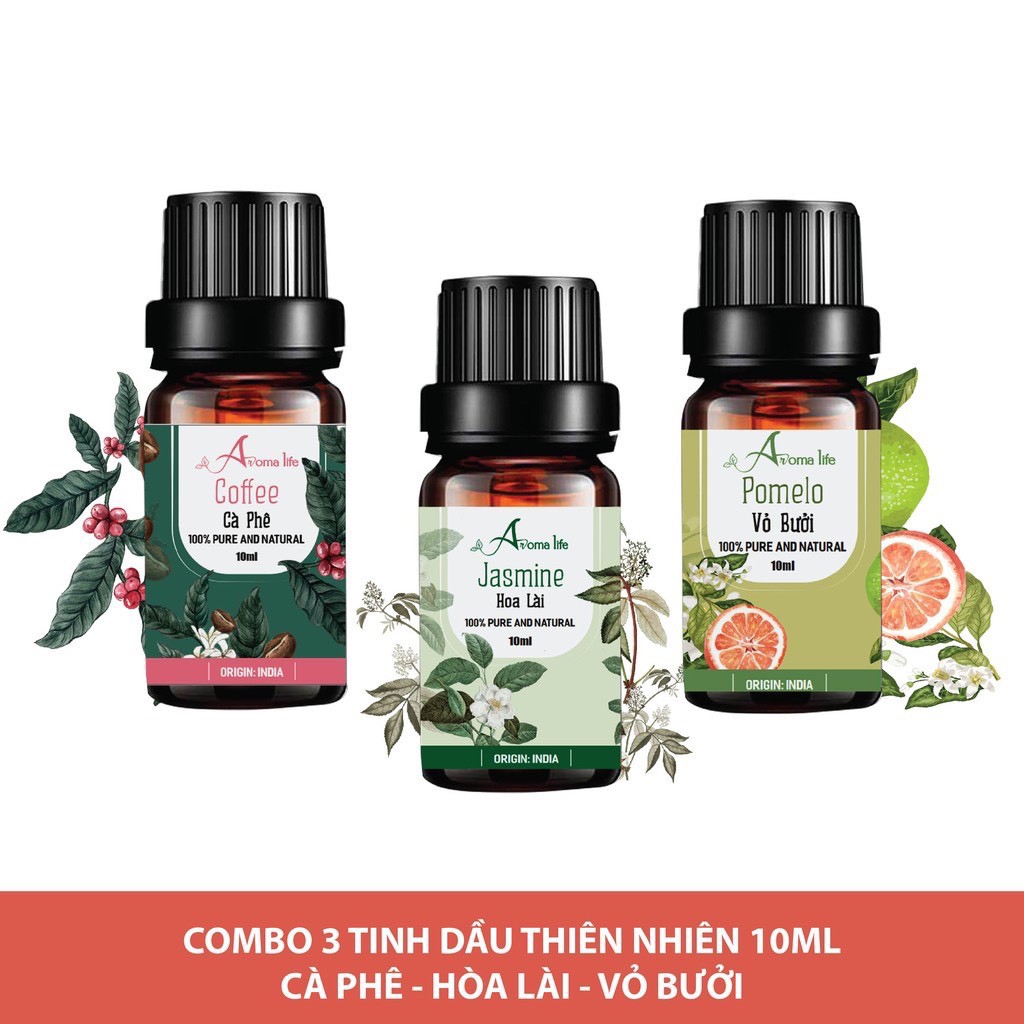 Combo 3 chai tinh dầu nguyên chất 10ml Ấn Độ