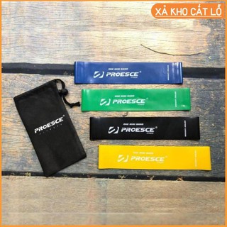Dây miniband, dây đàn hồi kháng lực - Chuyên tập Mông  chính hãng PROESCE
