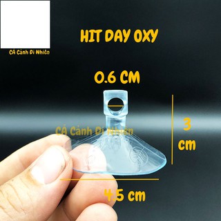 Hít kính giữ ống DÂY OXY 6 mm cho hồ cá cảnh - cacanhdinhien
