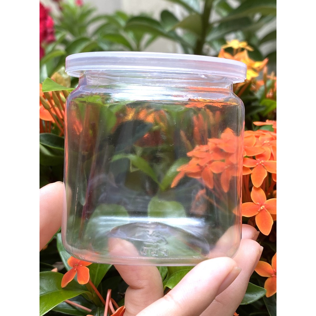 Hũ Gia Vị Rỗng Pet đáy vuông đầu tròn tiện dụng