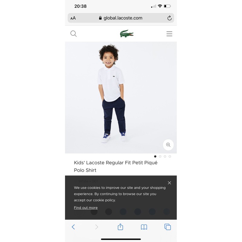 Áo polo cá sấu - RABBITSHOP