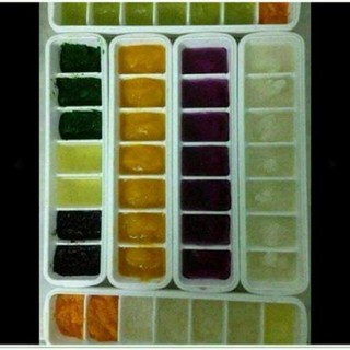 KHAY TRỮ ĐÔNG ĐỒ ĂN DẶM