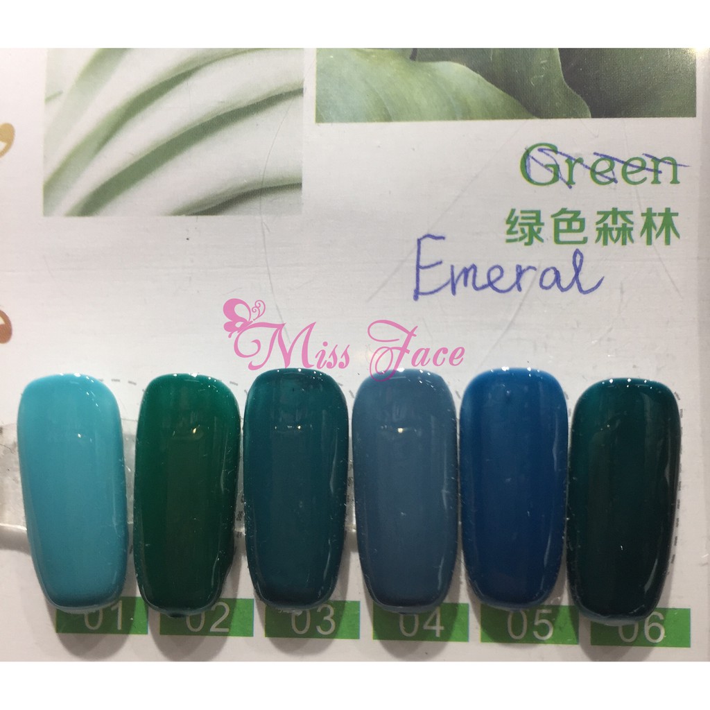 Sét sơn gel 6 màu 1