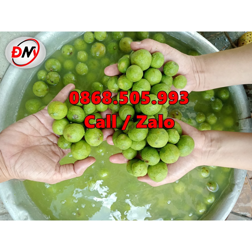 Máy chà vỏ cóc, bào vỏ sấu, cạo vỏ khoai sọ, quả chanh siêu nhanh