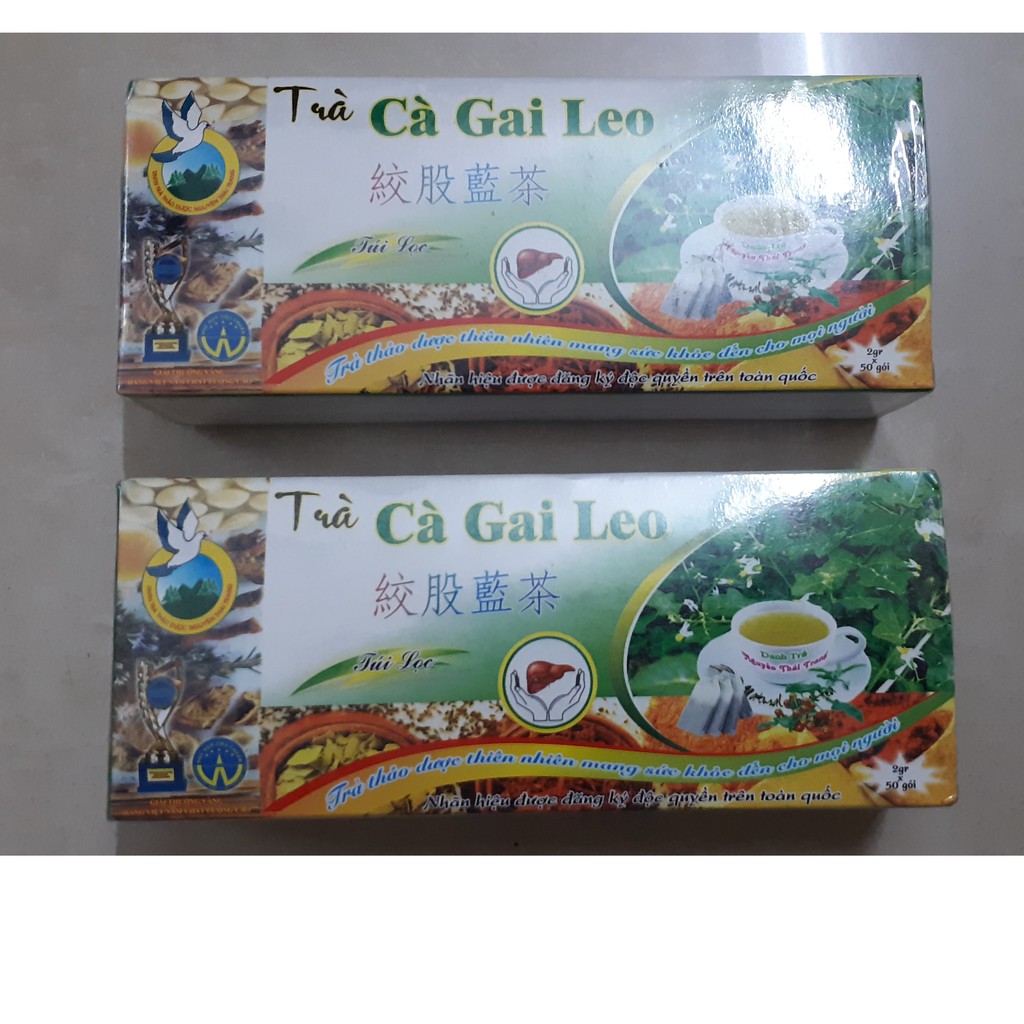 TRÀ CÀ GAI LEO - combo 2 hộp- 50 túi lọc/1 hộp