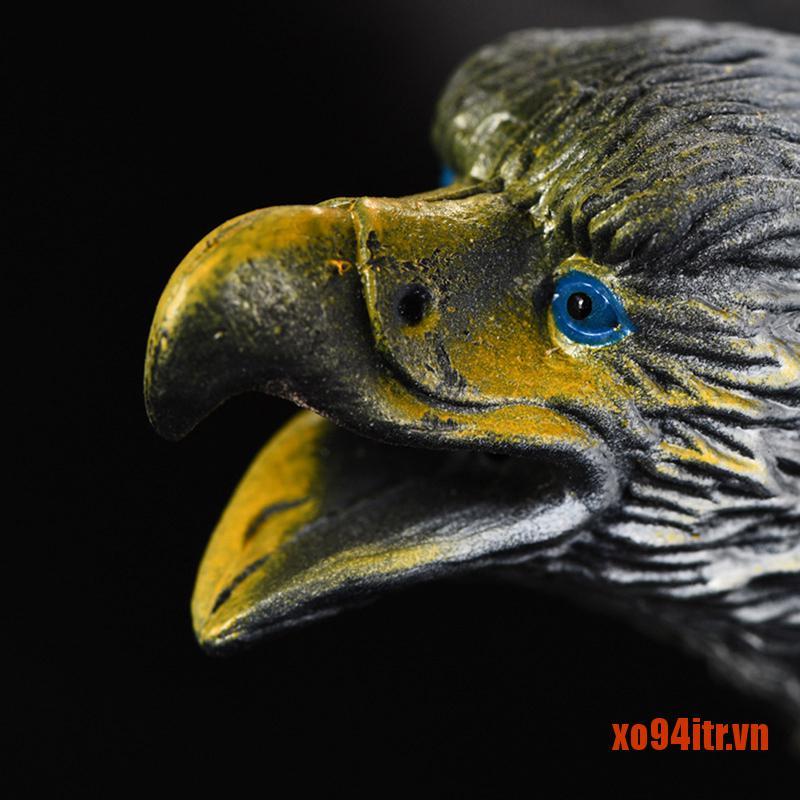 Đồ Chơi Mô Hình Chim Đại Bàng Cho Bé