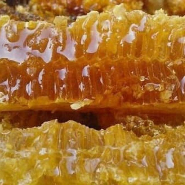 Mật ong HOA NHÃN BEE Honey Thế Hồng 350g (TRẢ HÀNG NẾU SẢN PHẨM KHÔNG THẬT)