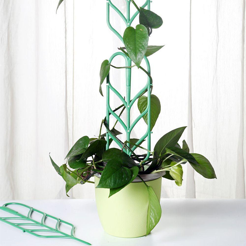 LLOYD Khung Hỗ Trợ Trồng Cây Dây Leo DIY Tại Nhà