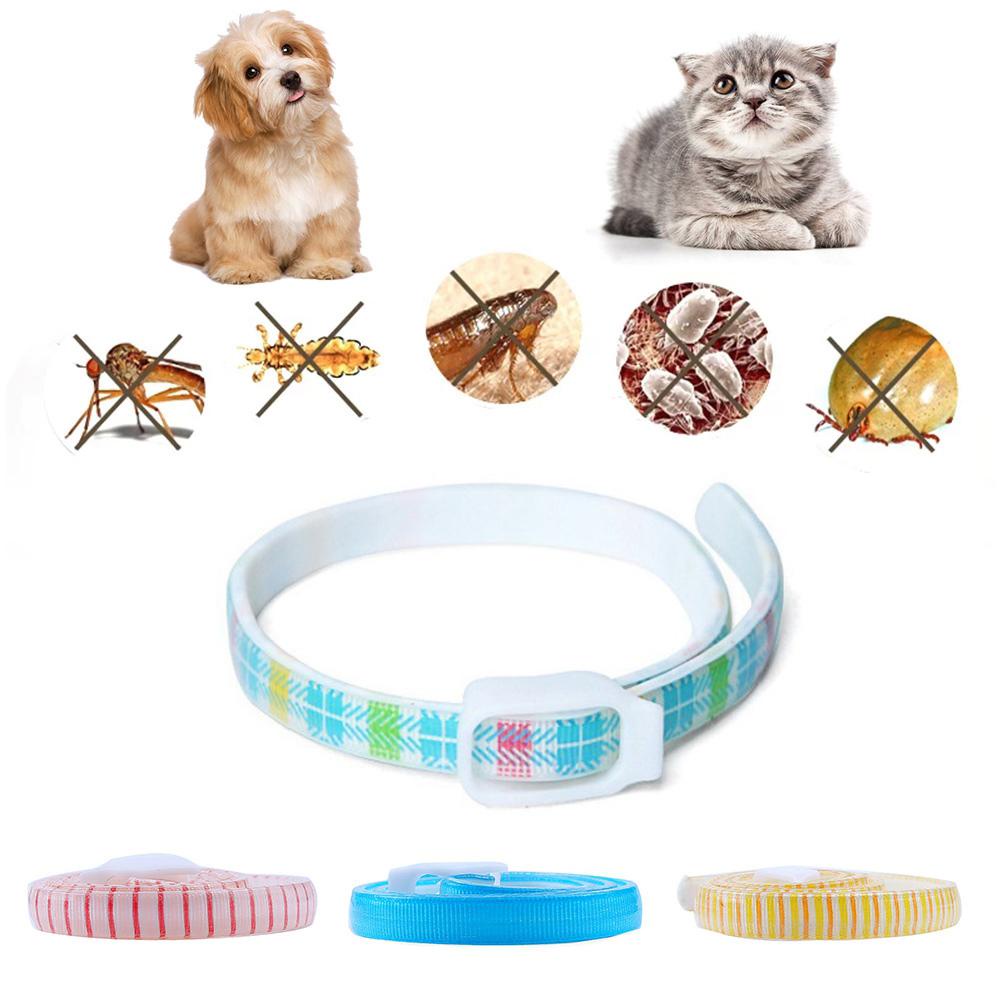 Vòng Cổ Thanh Lịch Chống Muỗi Cho Thú Cưng