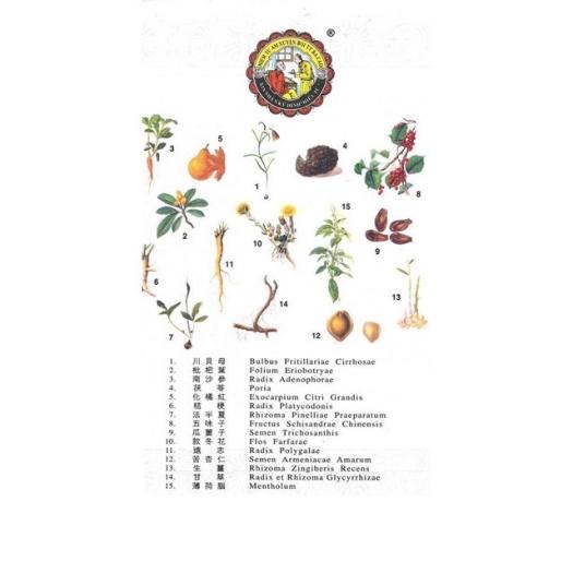 NIỆM TỪ AM XUYÊN BỐI TỲ BÀ CAO - NIN JIOM PEI KOA