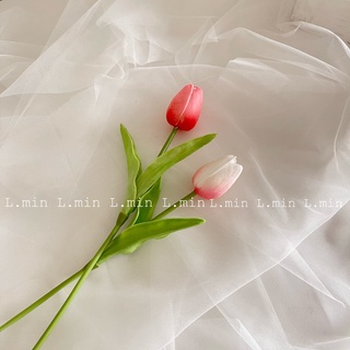 Hoa Tulip decor loại 1 (hoa màu pastel) L.min