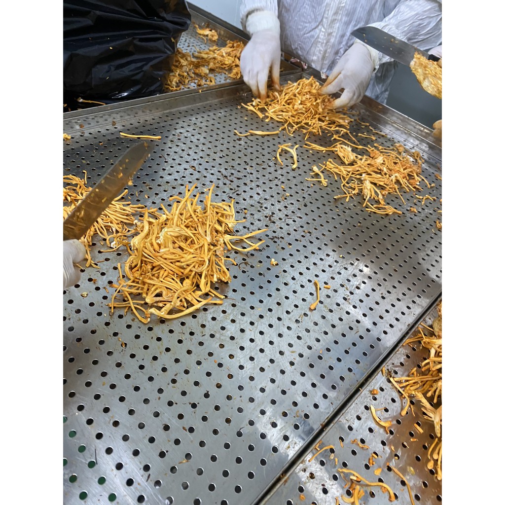Đông trùng hạ thảo thăng hoa 25gr