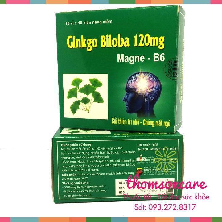 Ginkgo Biloba 120mg Magne B6 - Giúp tăng tuần hoàn não, cải thiện trí nhớ - Hộp 100v