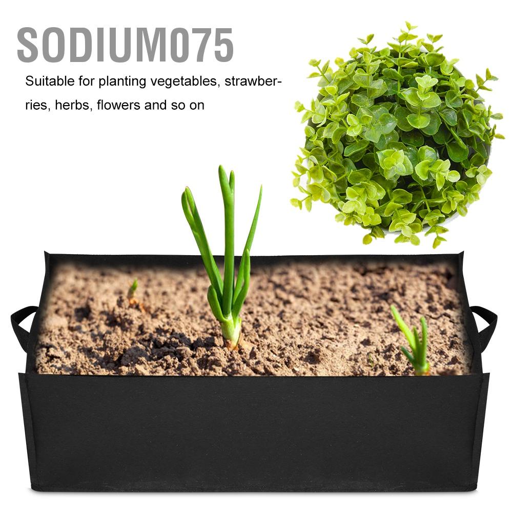 Sodium075 1Pc Vegetable Strawberry Planting Square Bag Garden Plant Flower Nursery Planter